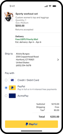 Screenshot showing a sample checkout page for a One-Time Payment with PayPal