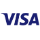 visa-icon-logo.png