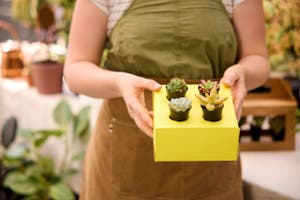 Women holding plant pots.