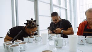 Coworkers taste testing Win Win coffee