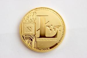 A coin with the Litecoin logo.