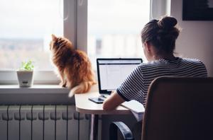 Frau mit Katze am Laptop